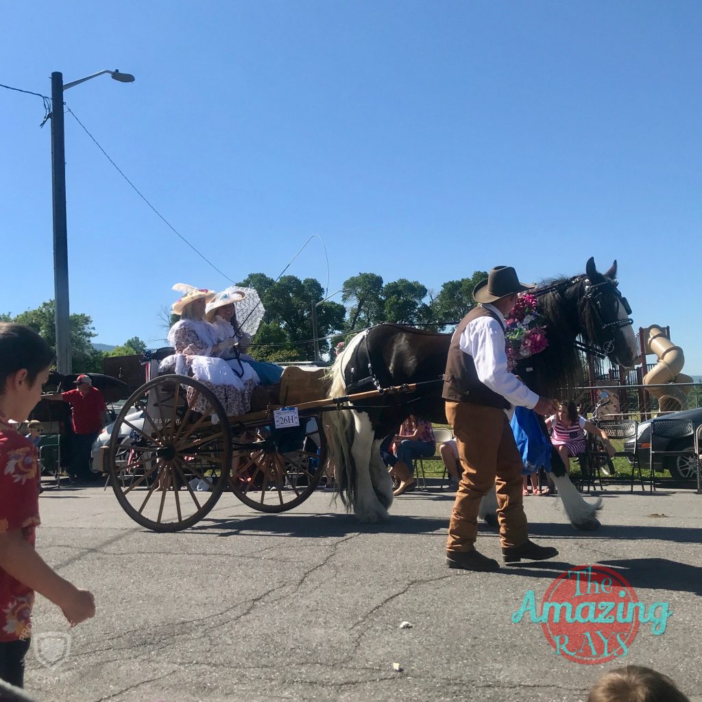 Small Town Independence Day Parade The Amazing Rays